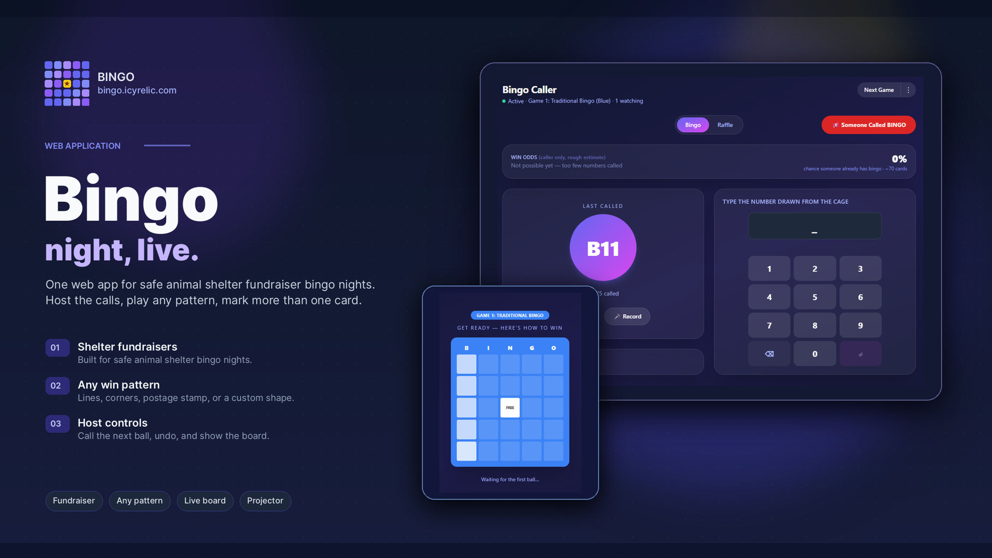 Bingo App Companion Promo